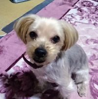 participant 2