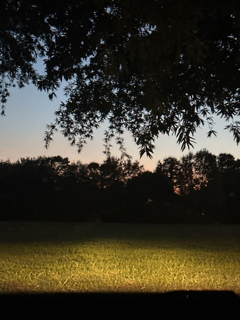 walking near me in Salem Woods Neighborhood Park in summer