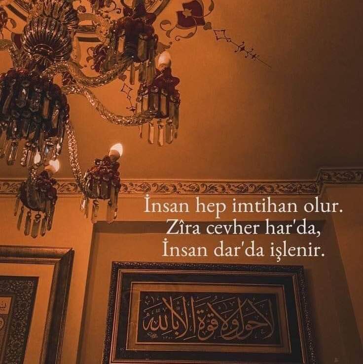 Talip Koçak post 1