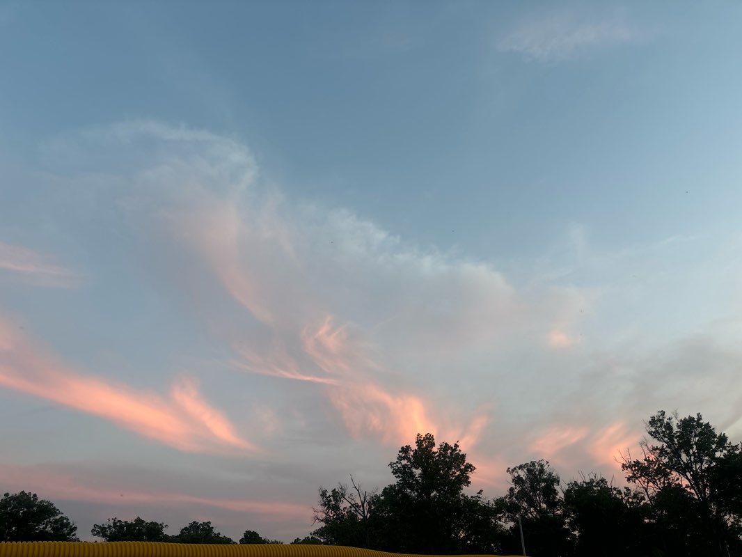 walking near me in Central Park in winter
