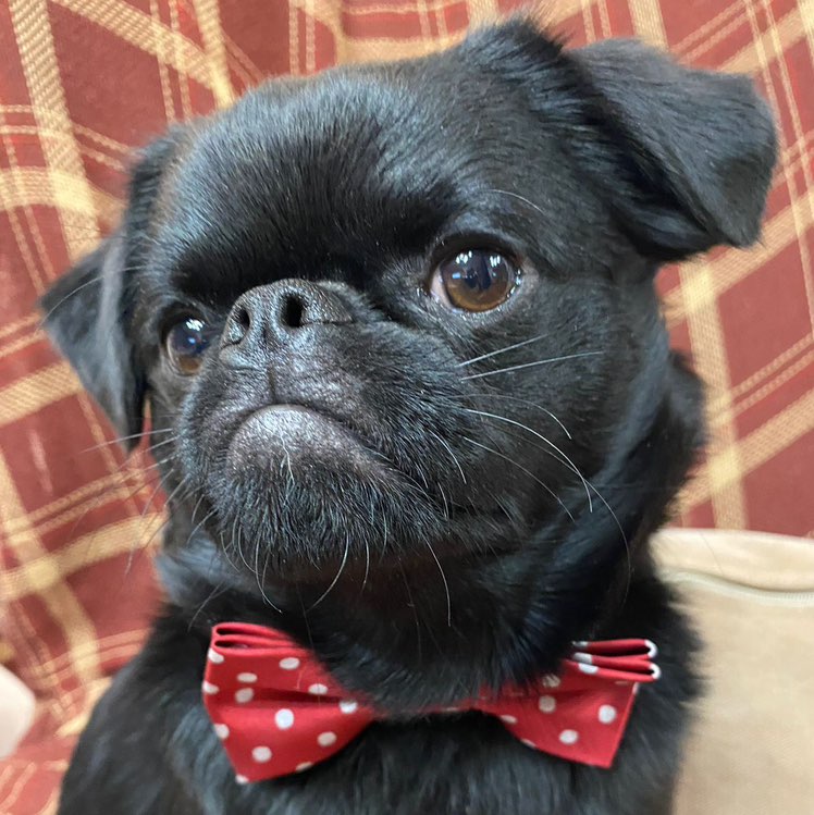 Вадим Я 🇷🇺