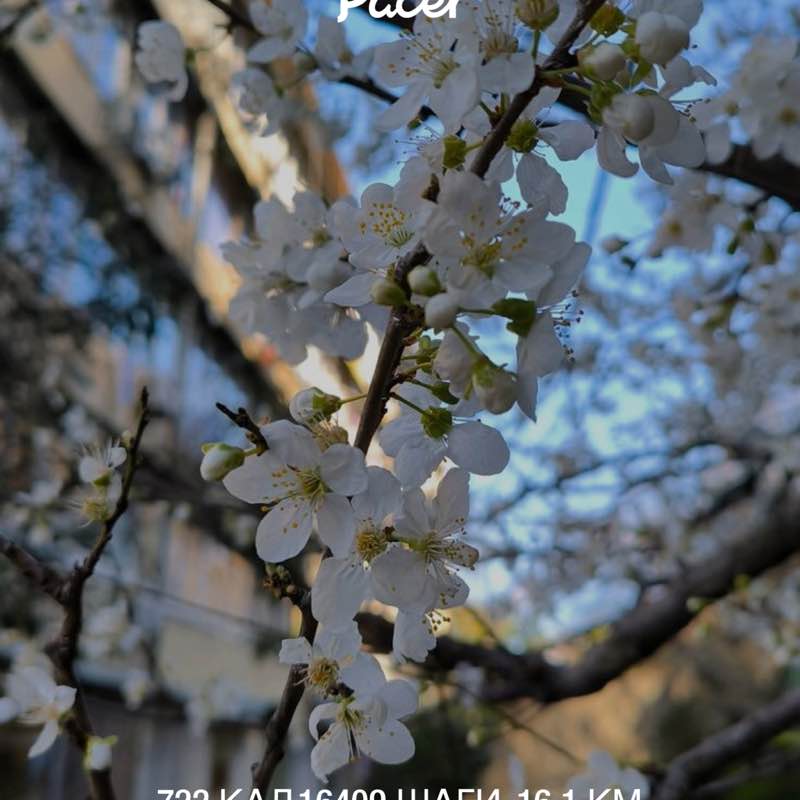 Анастасия post 1