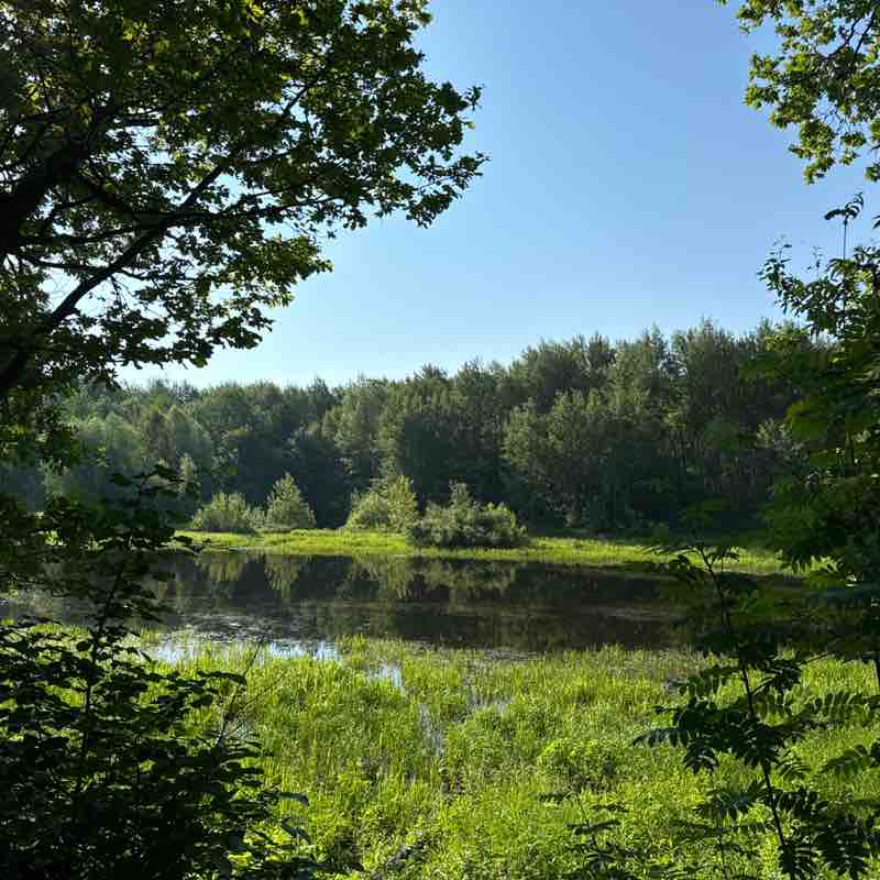 Ползти никто не запрещал🐾 Ползти никто не запрещал🐾 post image