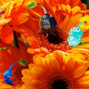 中和環測-德玲 profile