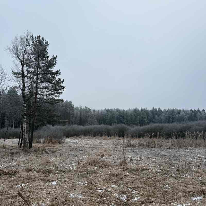 гоу гоу клуб ) Людмила post image