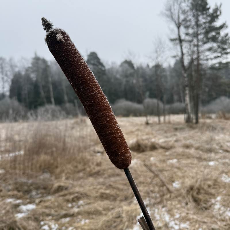 гоу гоу клуб ) Людмила post image