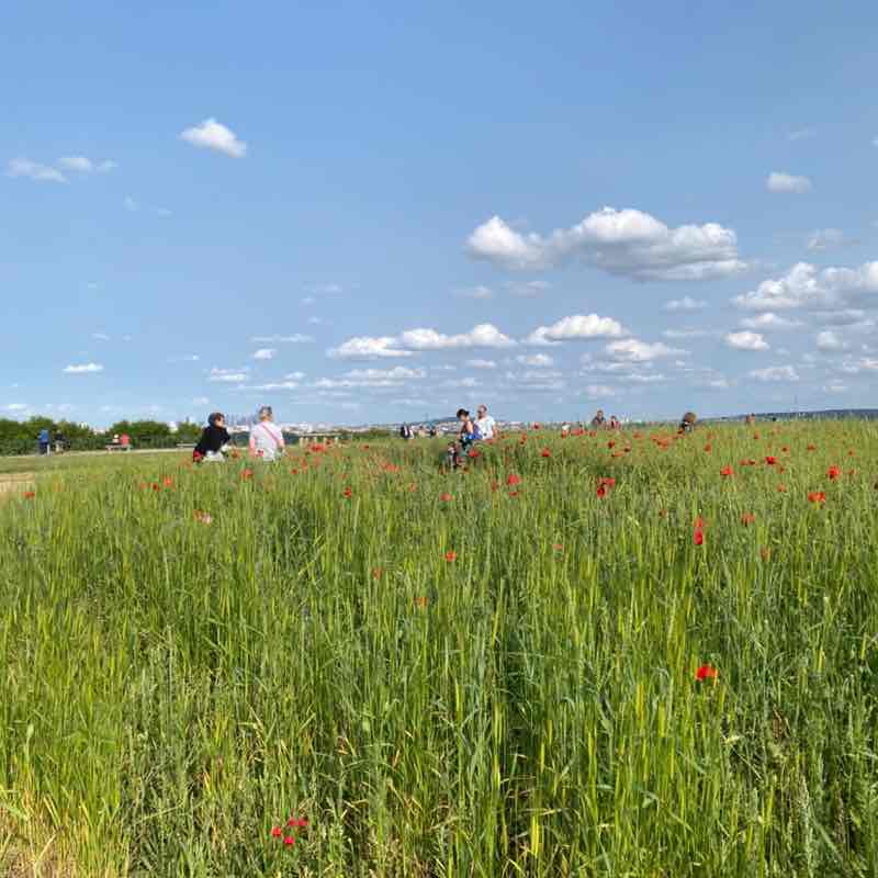 Team 1 Amandine post image