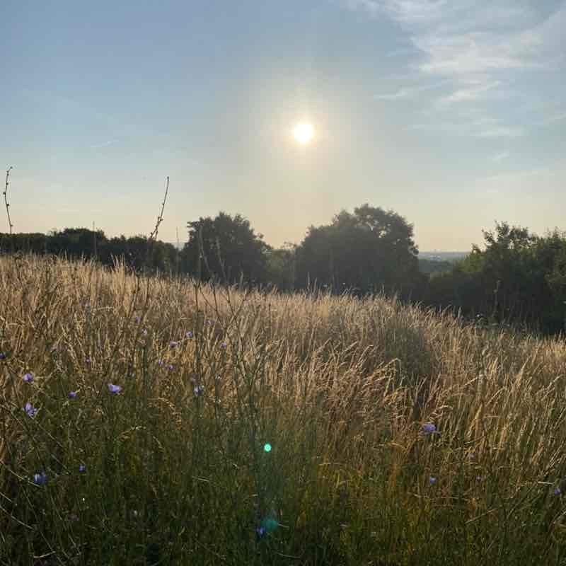 Team 1 Amandine post image