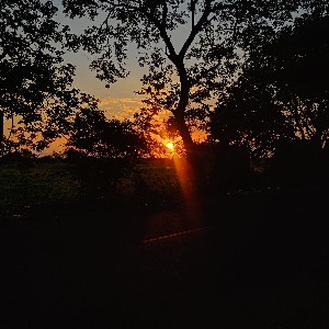 Rekha Prithiviraj icon