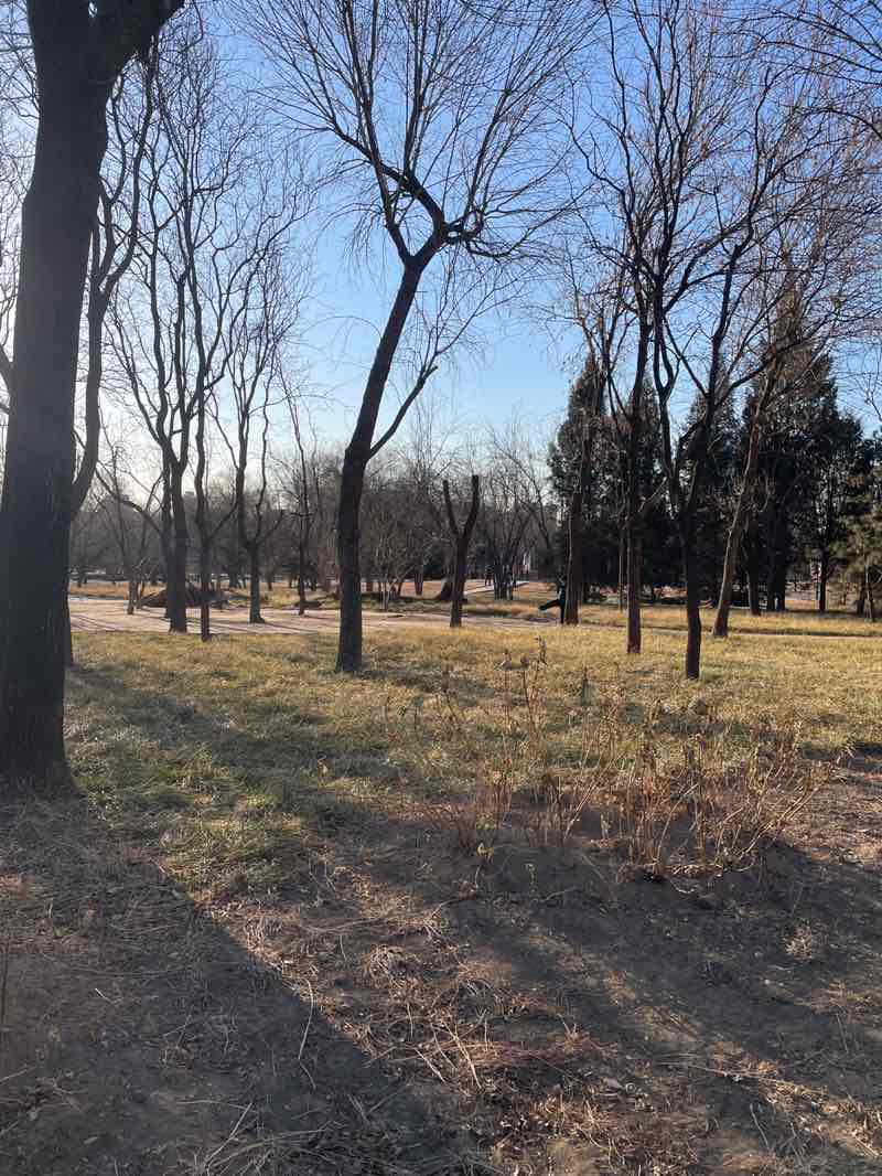 walking near me in Lianhuachi Park in winter