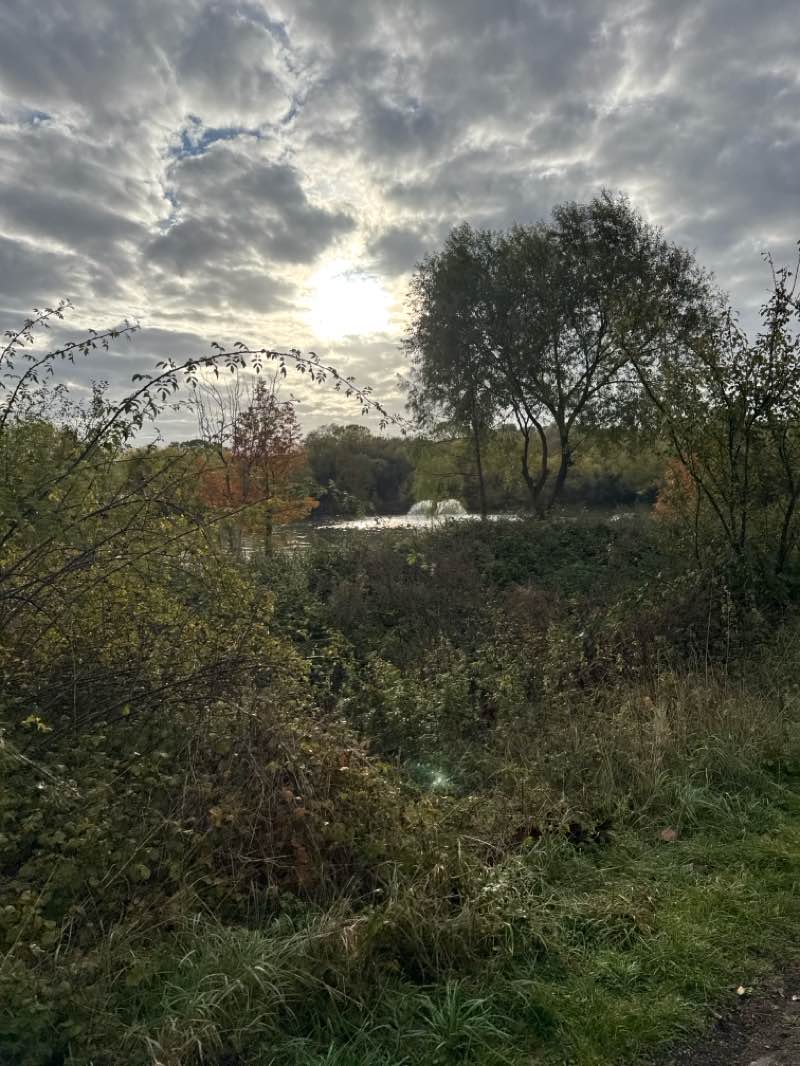 walking near me in Northlands Park in autumn