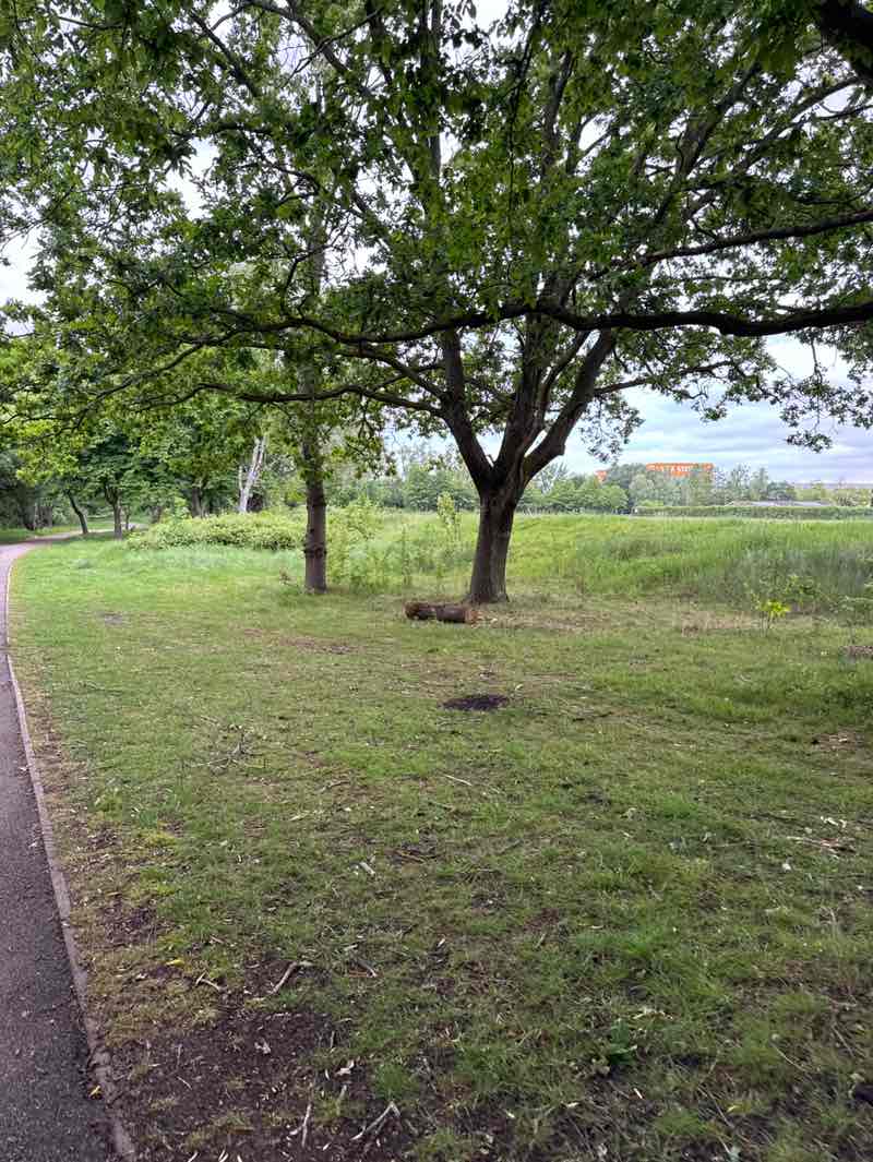 walking near me in Gloucester Park in spring
