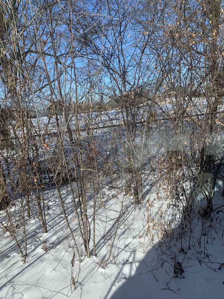 walking near me in Crestview Park in spring