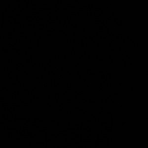 𝑲𝒊𝒏𝒈𝒔𝒍𝒆𝒚 icon