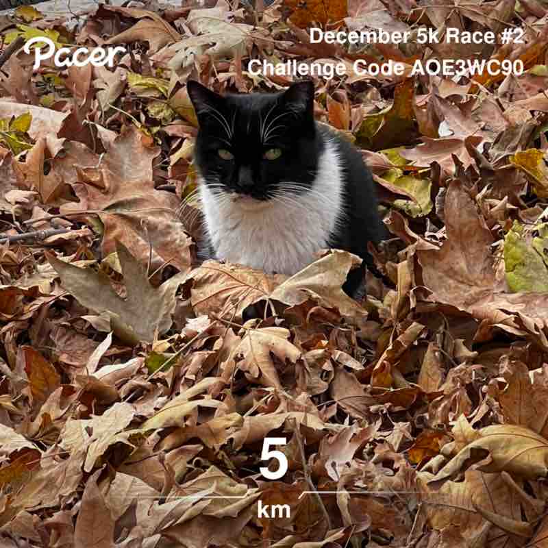 April 5k Race #2 Samira post image