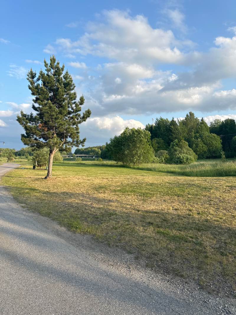 walking near me in Östertälje park in summer