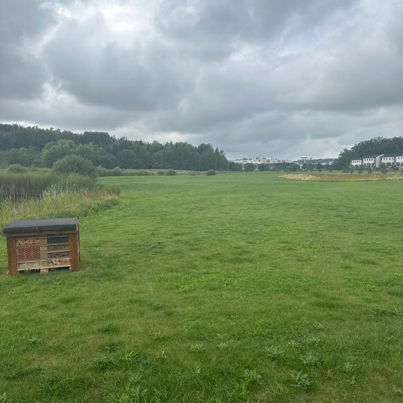 RobloxDemon69 post 1