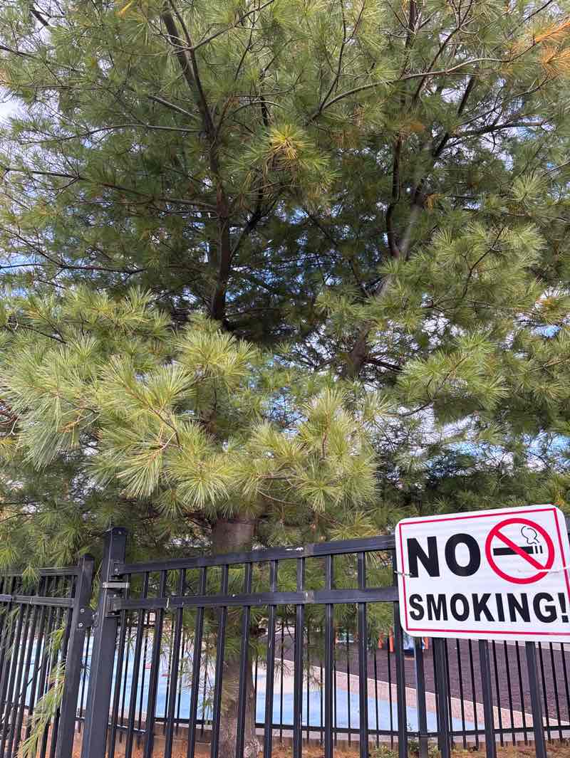 walking near me in Rowley Park in autumn