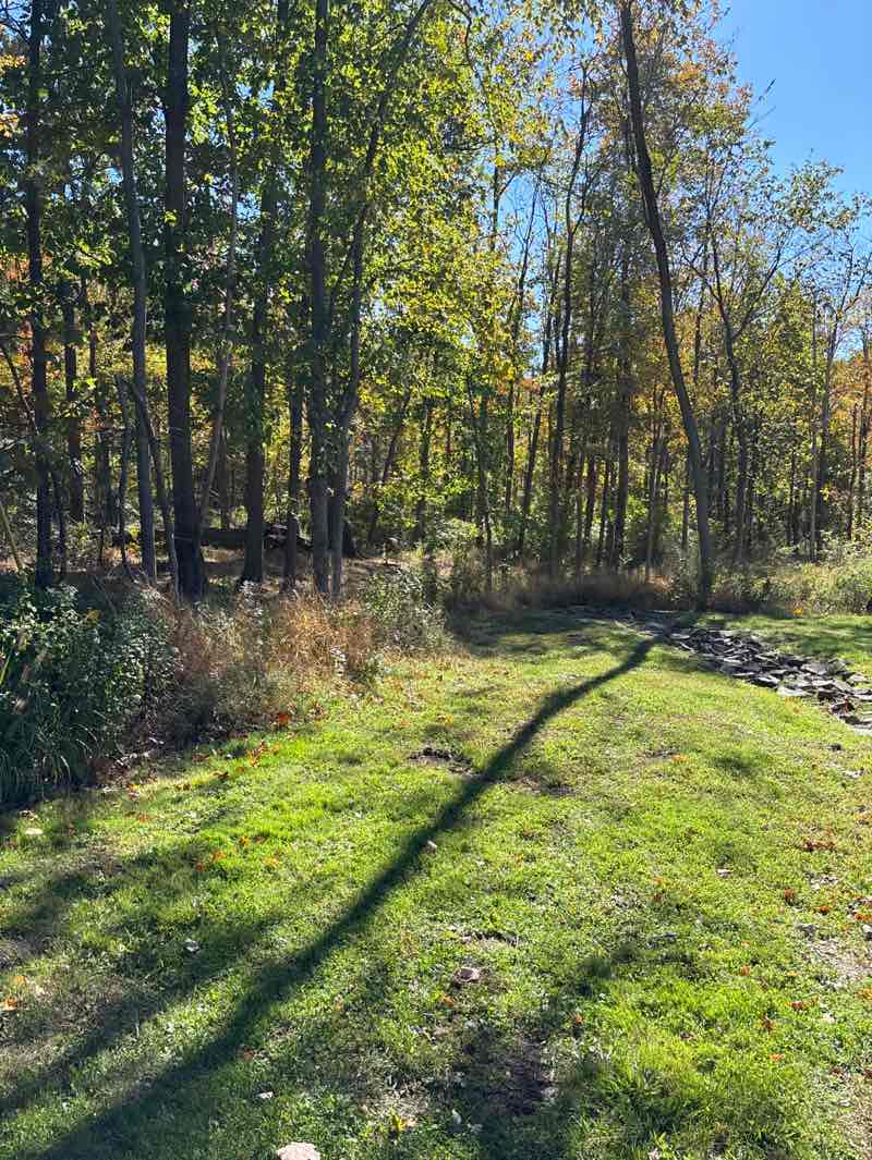 walking near me in William "Lefty" Boland Memorial Park in autumn