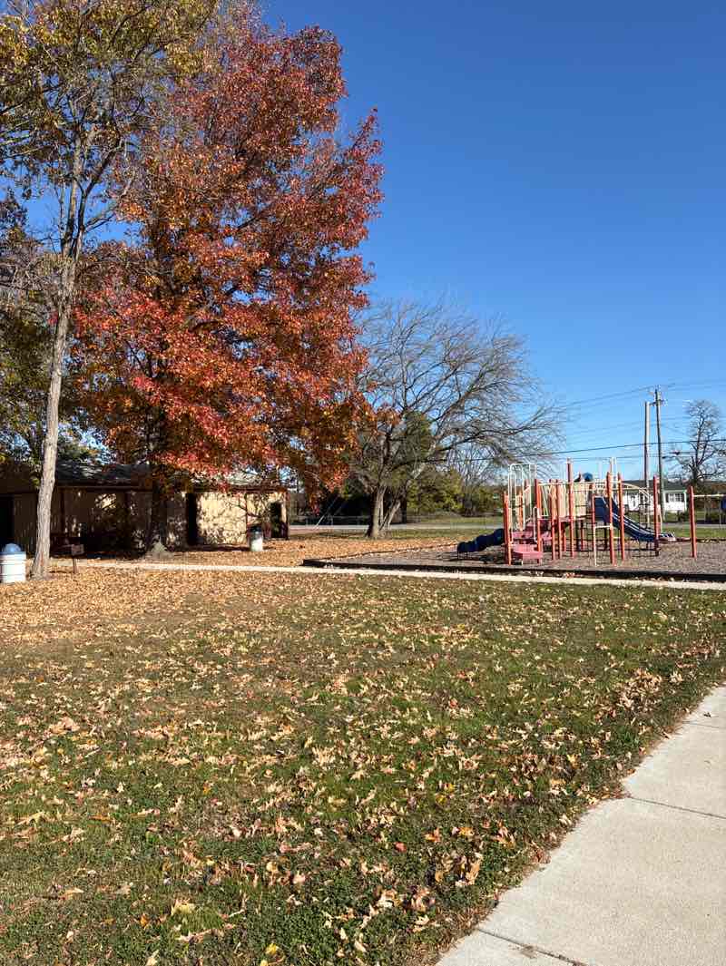 walking near me in Edesville Park in autumn