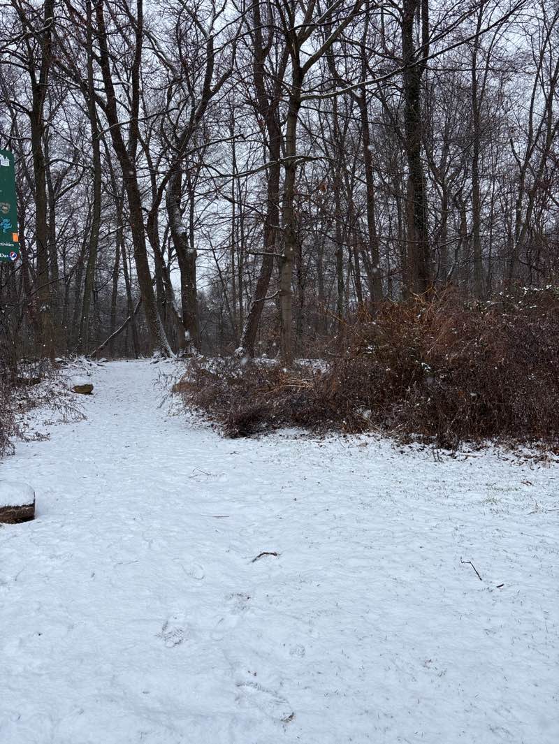 walking near me in Egan Field in winter