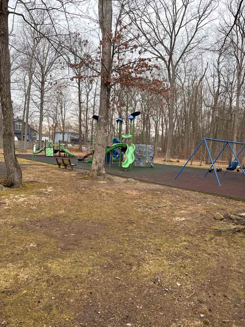 walking near me in Richard Park in winter