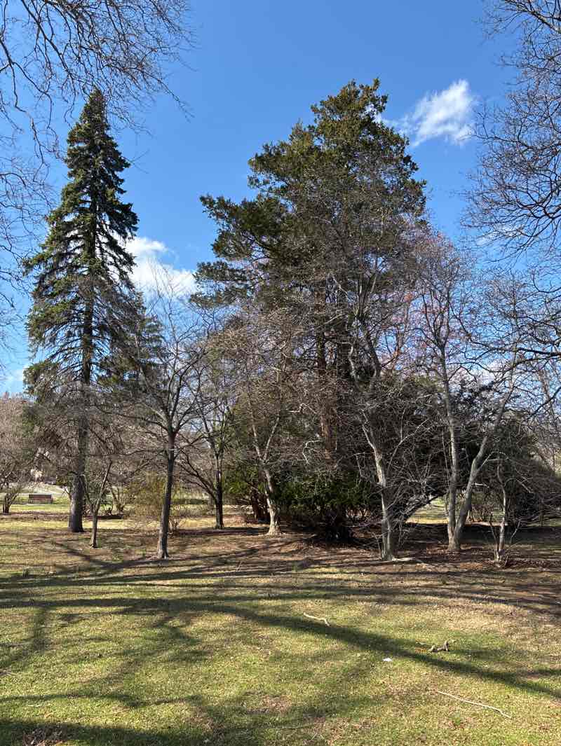 walking near me in Porter Park in spring