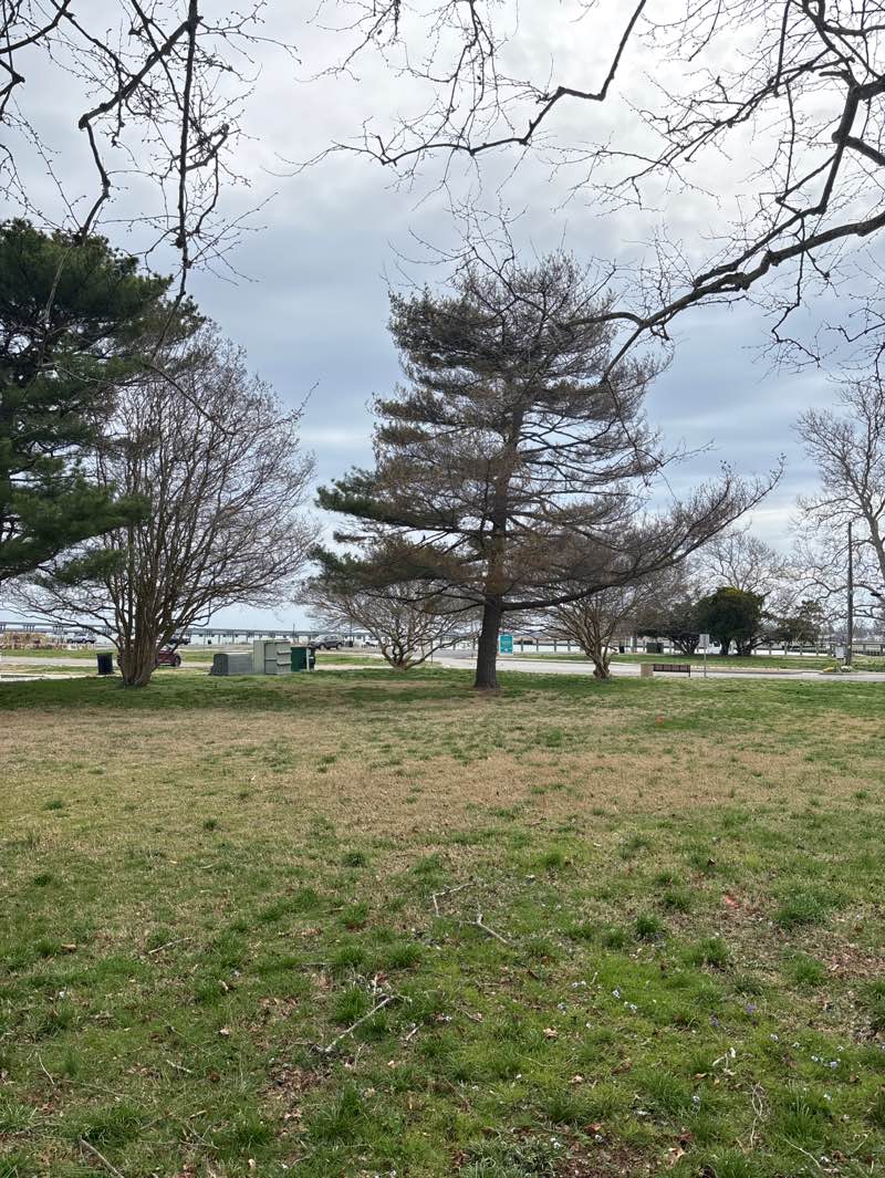 walking near me in Long Wharf Park in spring