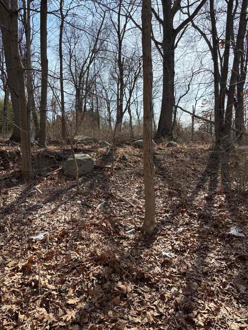 walking near me in Beverly Road Park in spring