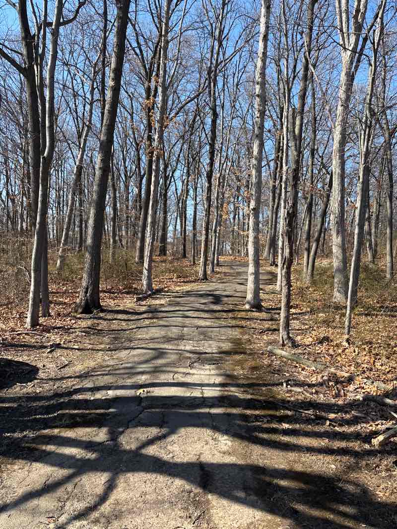 walking near me in O'Connor Park in spring