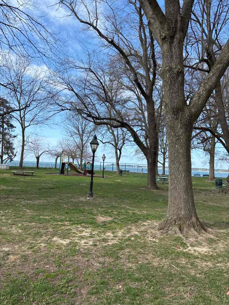 walking near me in Oxford Town Park in spring