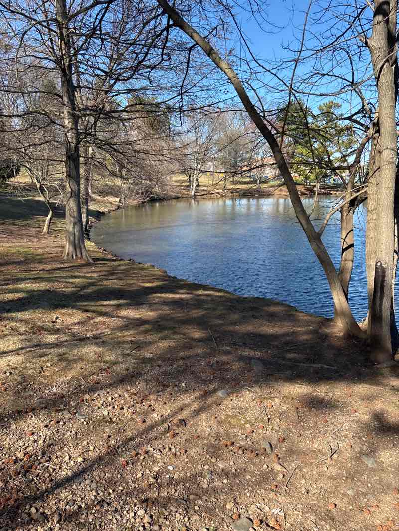 walking near me in Degnan Park in spring