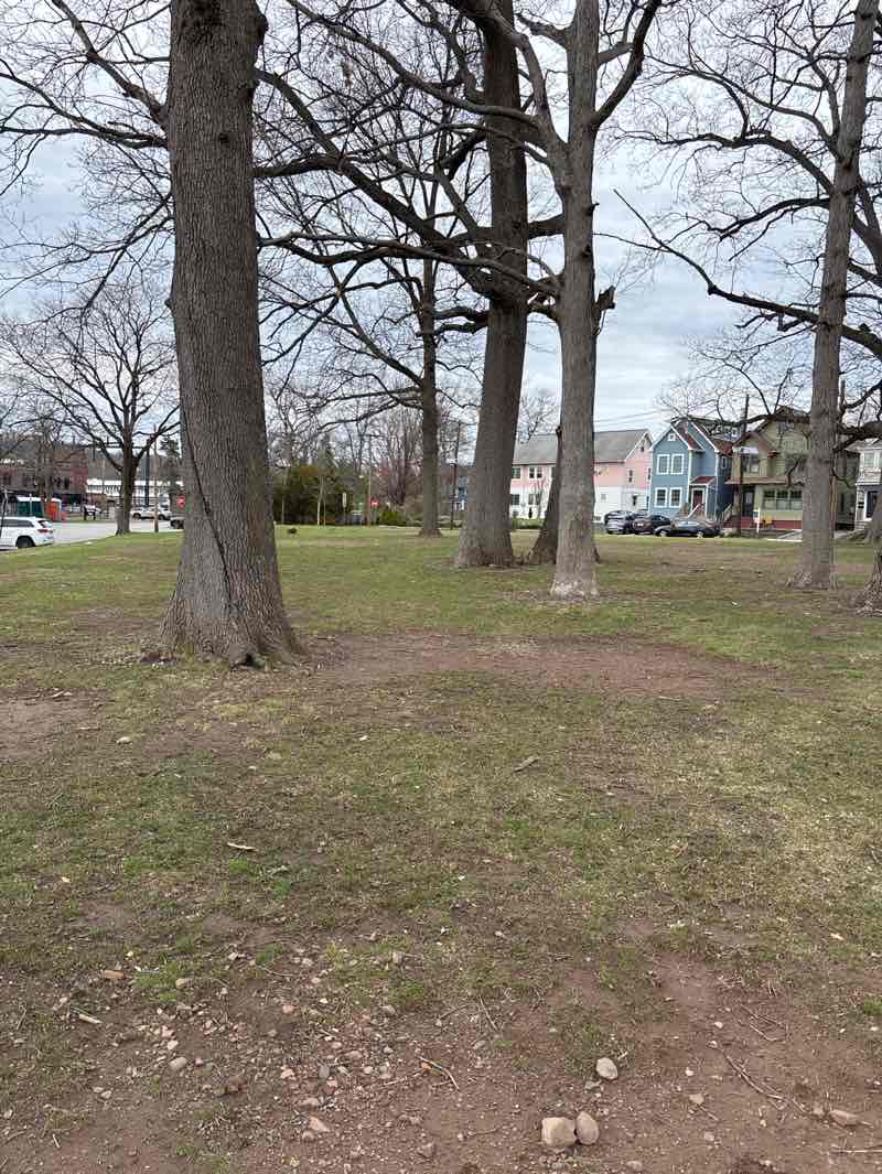 walking near me in Erie Park in spring
