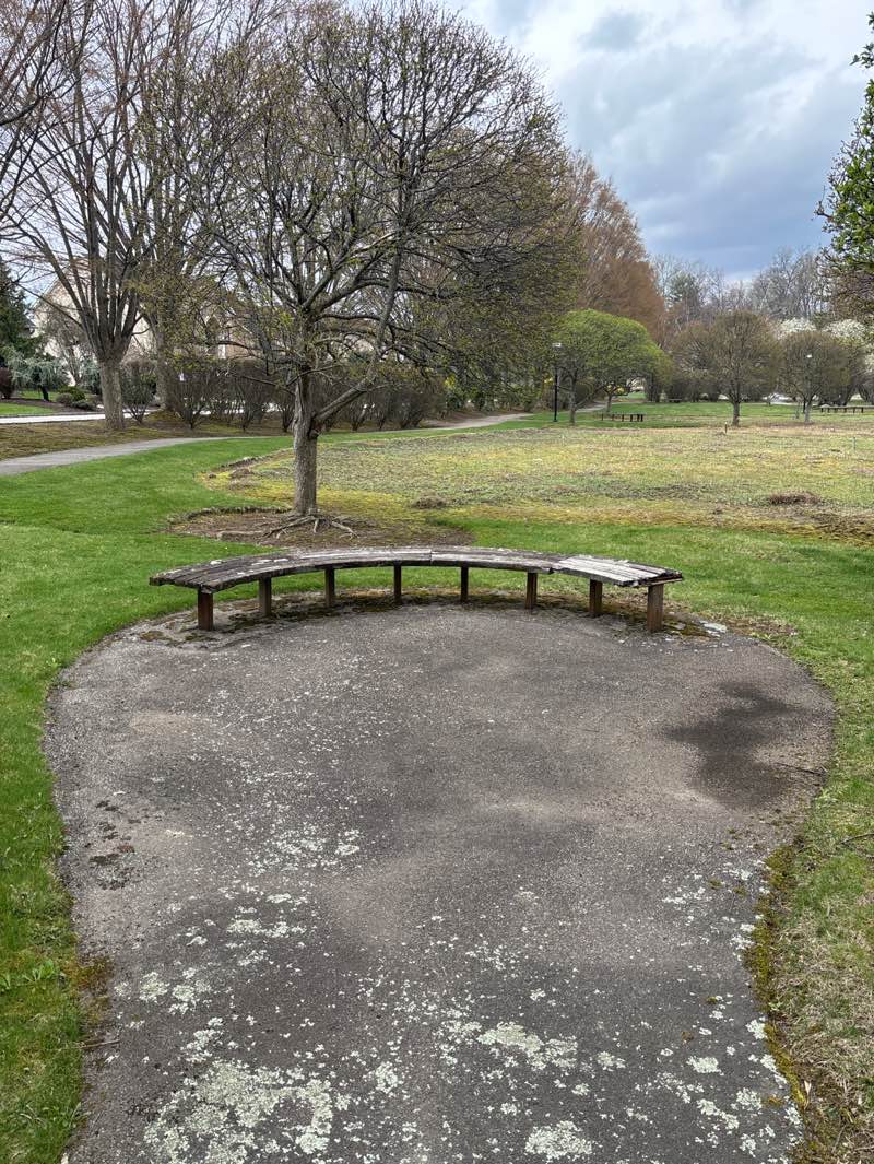 walking near me in Mita Park in spring