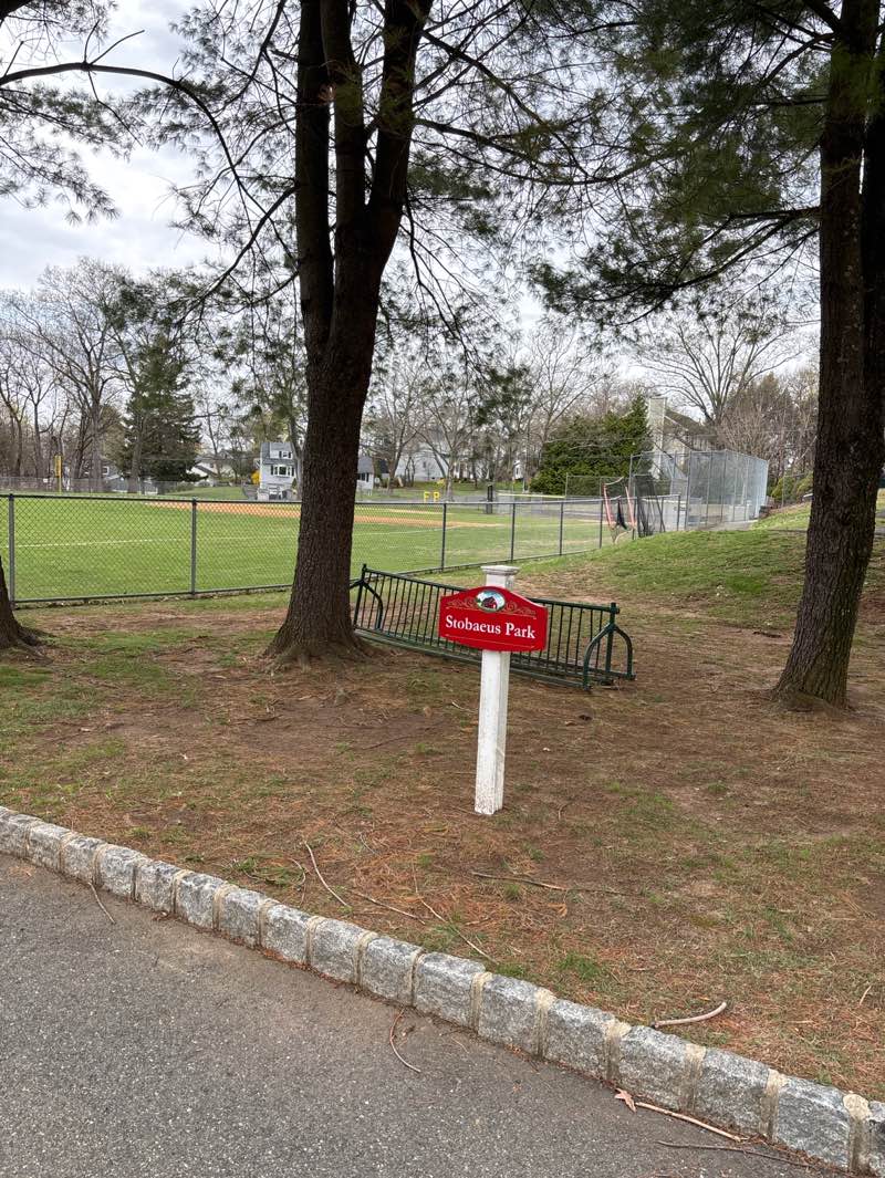 walking near me in Stobaeus Park in spring