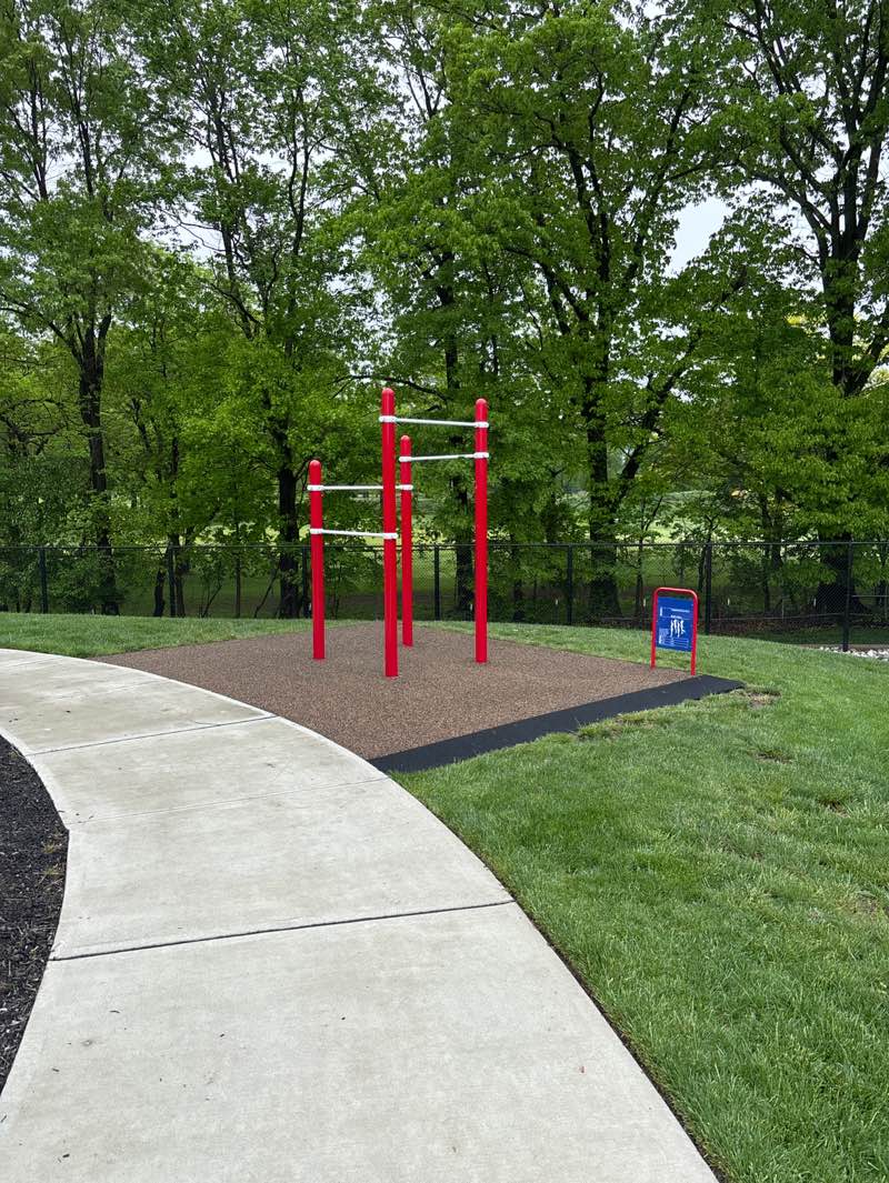 walking near me in Lions Gate Park in spring