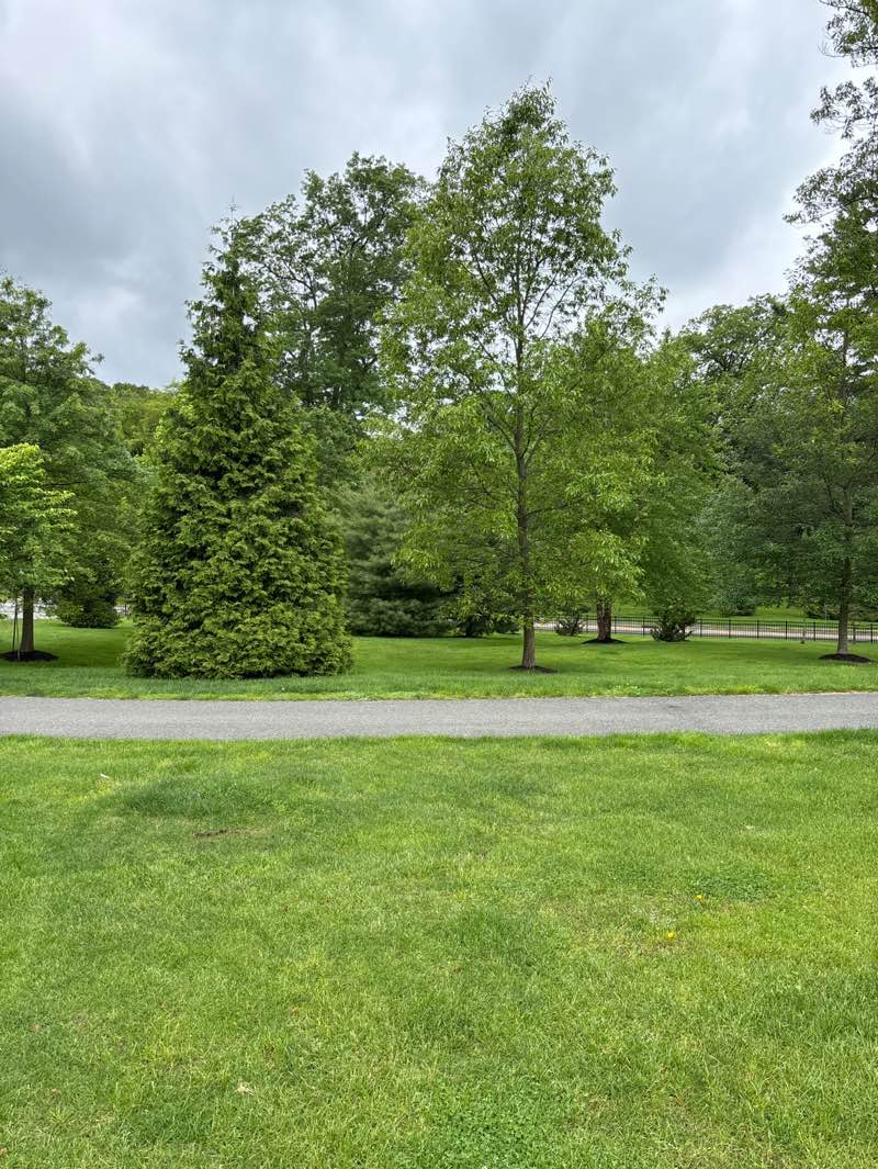 walking near me in Cedar Grove Park in spring