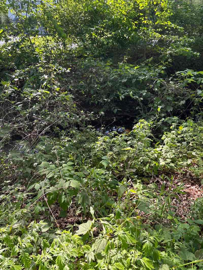 walking near me in Green Field in spring