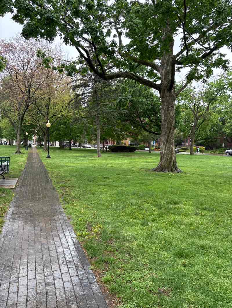 walking near me in Bloomfield Town Green in spring