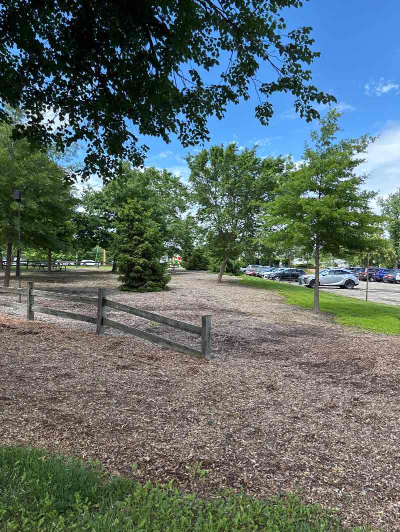 walking near me in Smith Field Park in spring