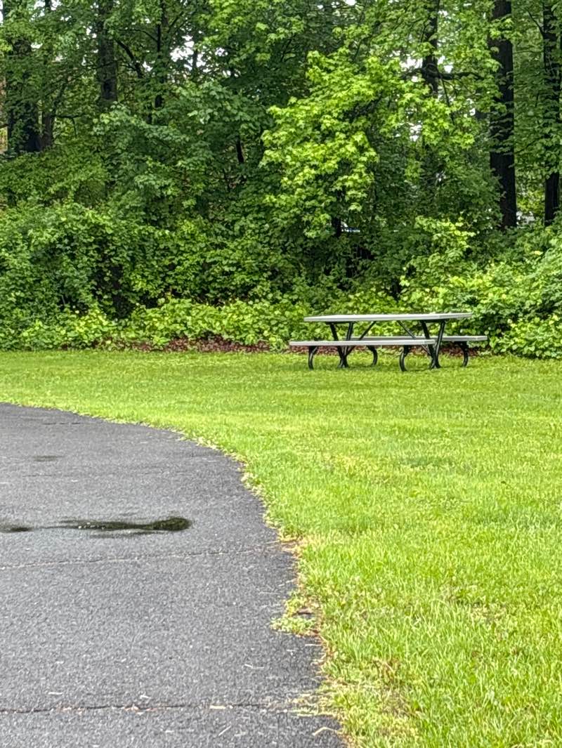 walking near me in Oak Road Park in spring