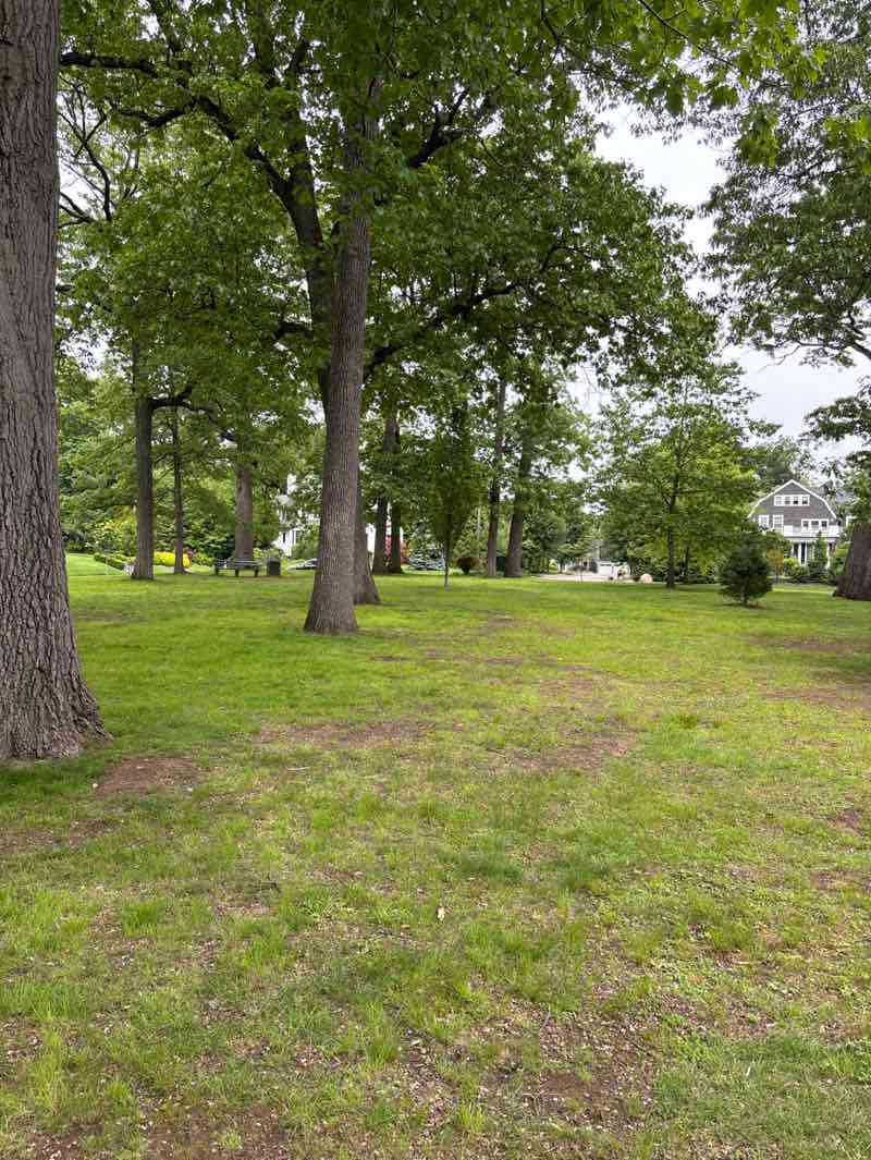 walking near me in Sunset Park in spring