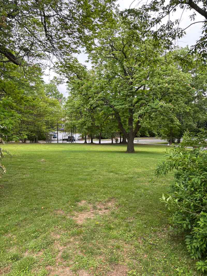 walking near me in Watchung Park in spring