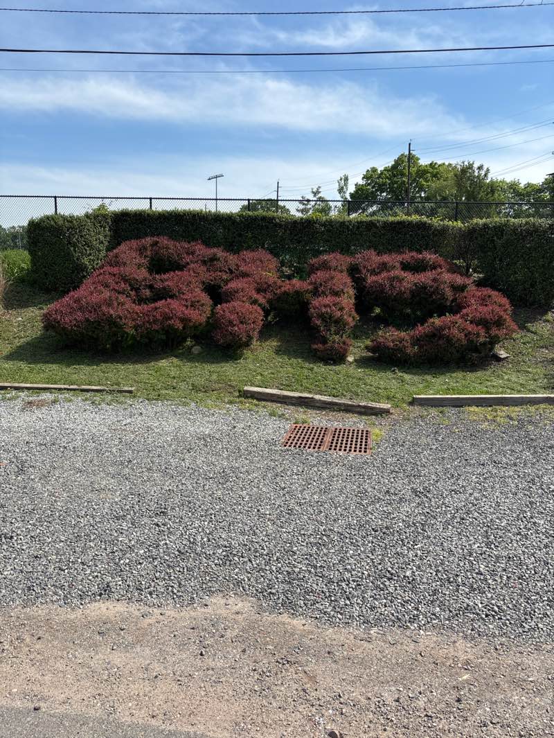 walking near me in Foley Field in spring