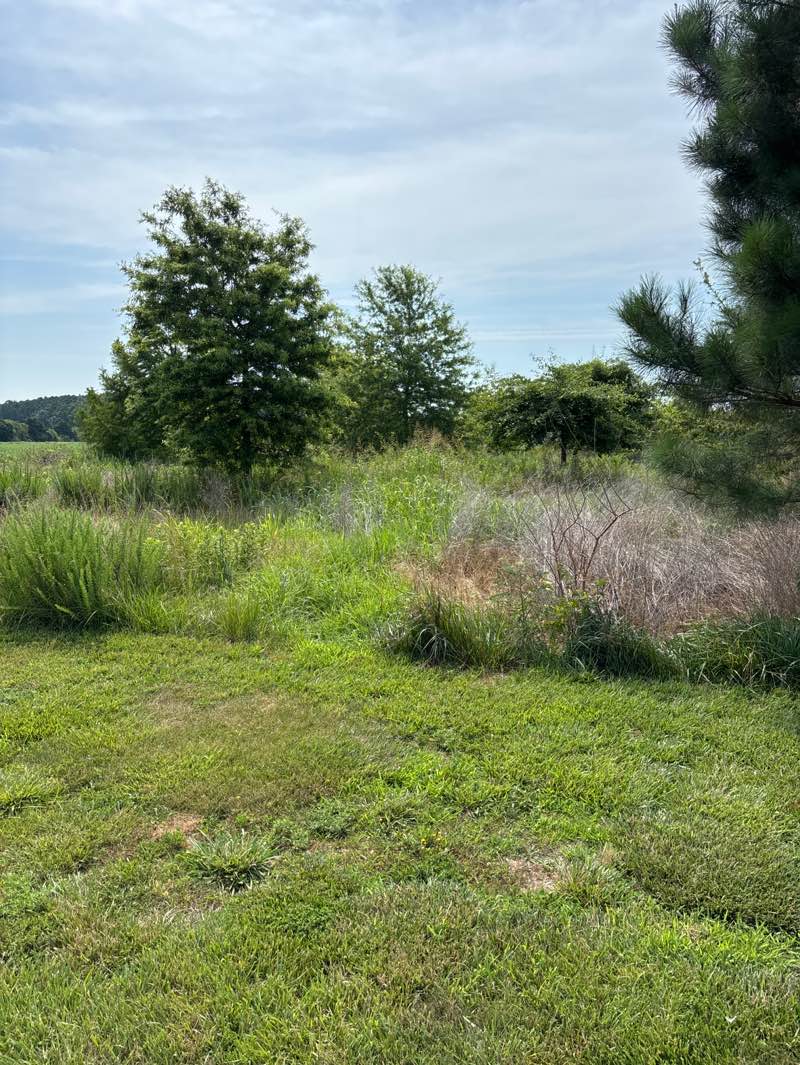 walking near me in Oxford Conservation Park in summer