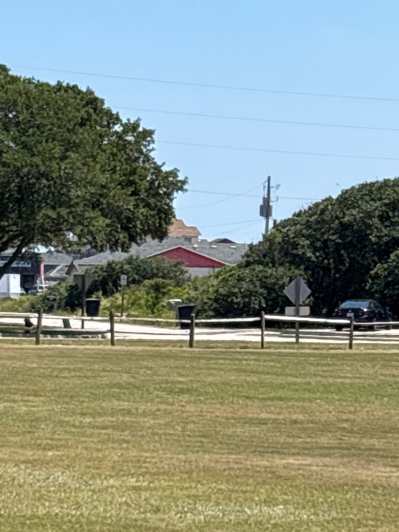 walking near me in Hayman Park in autumn