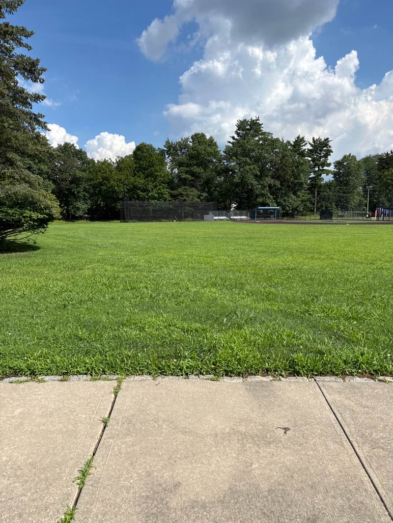 walking near me in Mountainside Park in summer