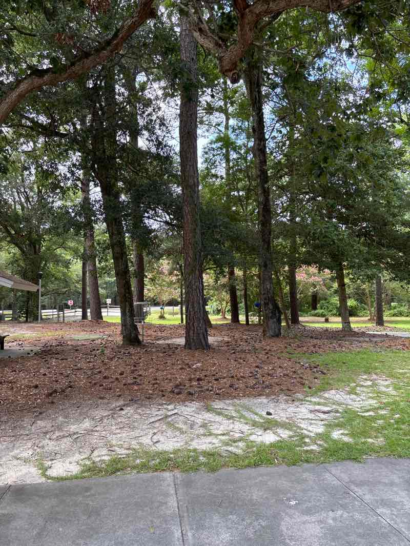walking near me in North End Park in autumn