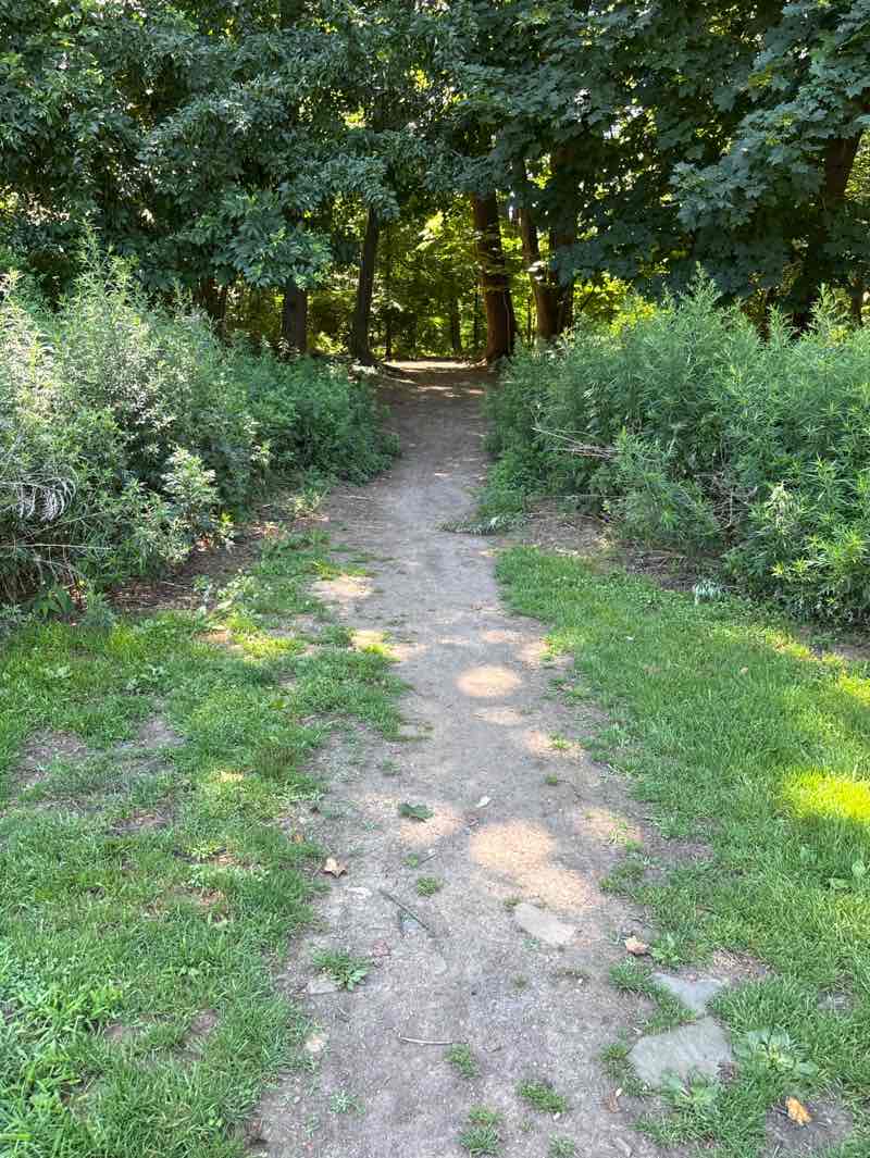 walking near me in Egan Field in summer