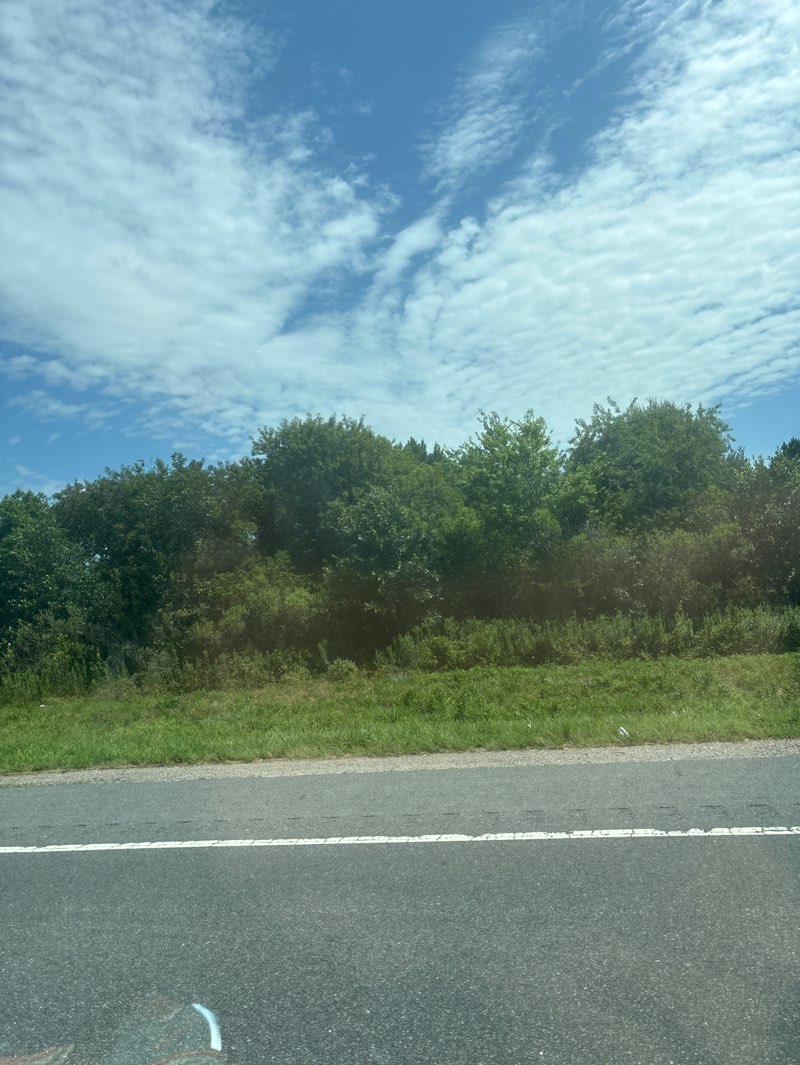 walking near me in Eastern Shore of Virginia National Wildlife Refuge in autumn